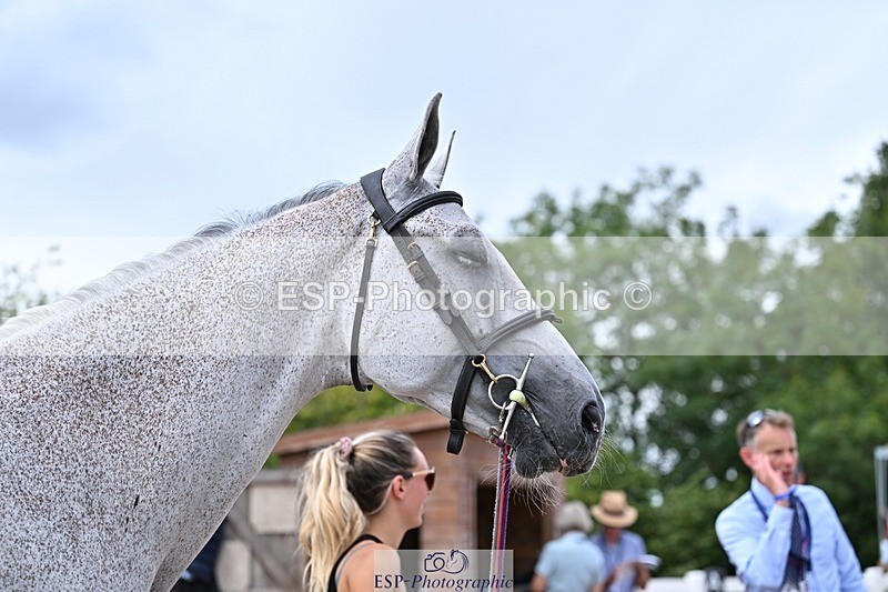 250716-131537-00414 - Trot Up 12.30 to 1.30
