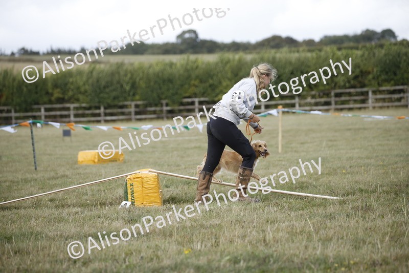 20250831-3859 - Dog Show