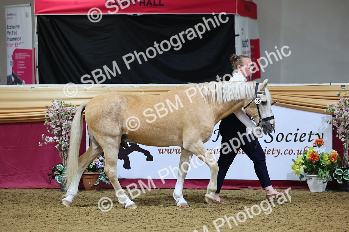 SBM_19337 - Class 901 - Supreme Final - IH Diamond