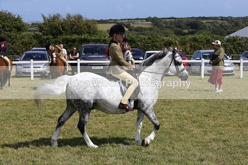 1X9A5369 - Class 37: NPS M&M First Ridden