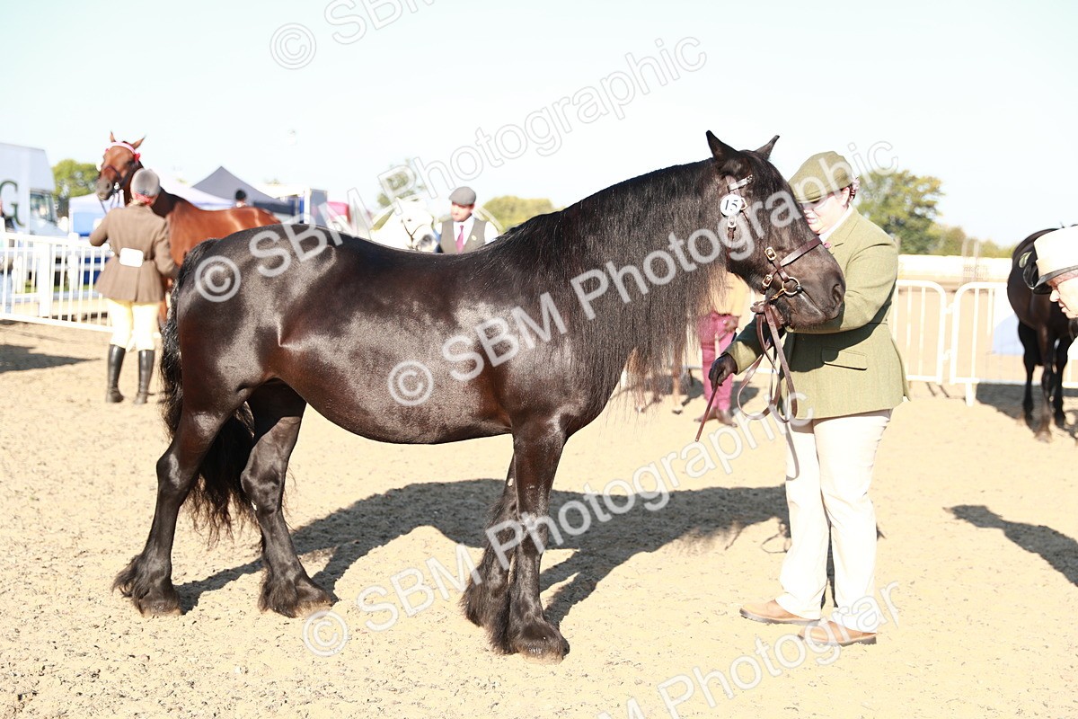 SBM_00079 - Class 40 Best Turned Out IH
