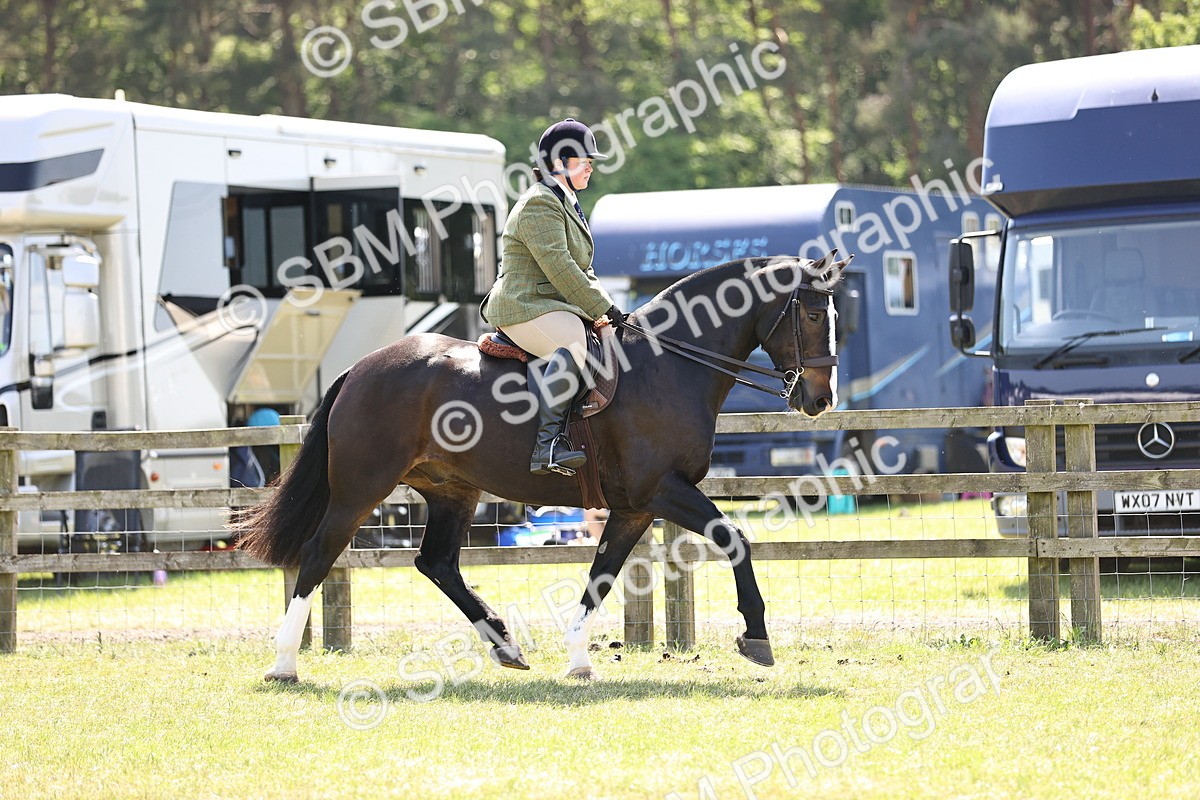 SBM_17813 - Class 81-83 - TSR Ridden Amateur of the Year - Horses