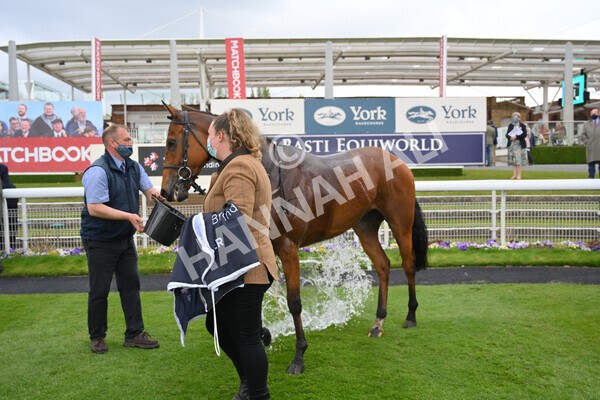 yr14052021r5-48 - Race 5 3.40pm The Jigsaw Sports Branding Handicap