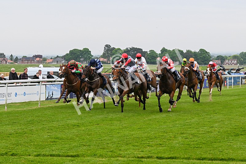 140524-Race 4-Bella Kopella-2041 - Race 4