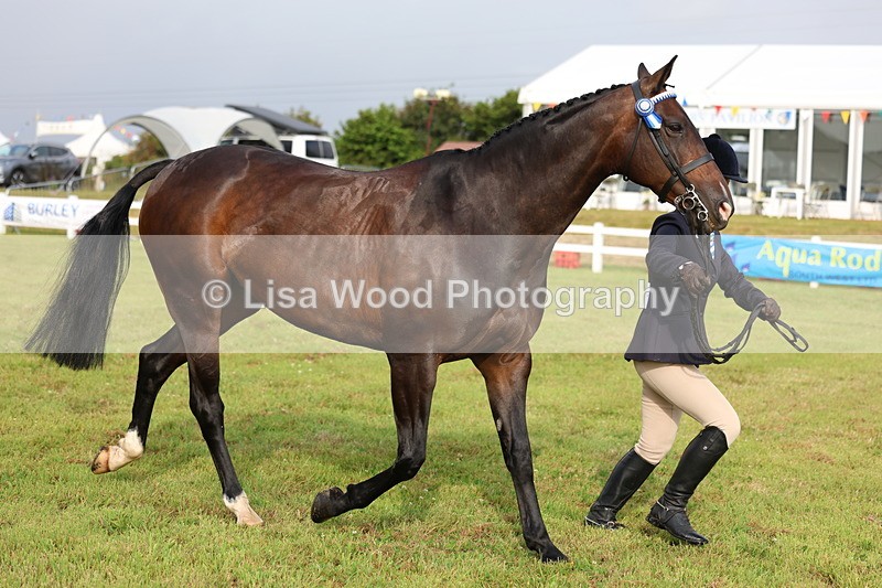 3E7A7870 - Class 1: Rising Star Small Hack/Riding Horses