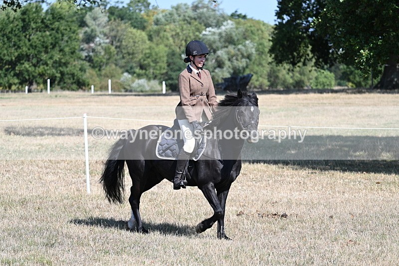 WJ7_3796 - Class 9 Mountain & Moorland Ridden