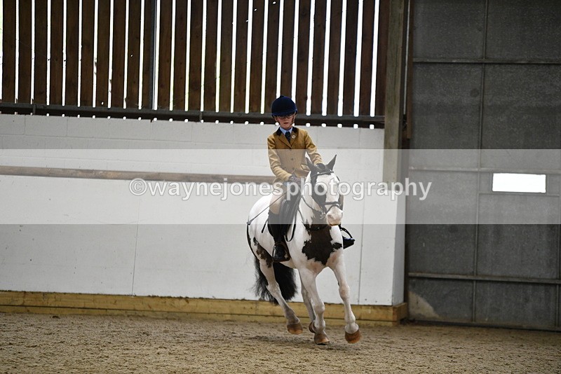 WJ5_7328 - Class 11 Ridden PC - RC Pony