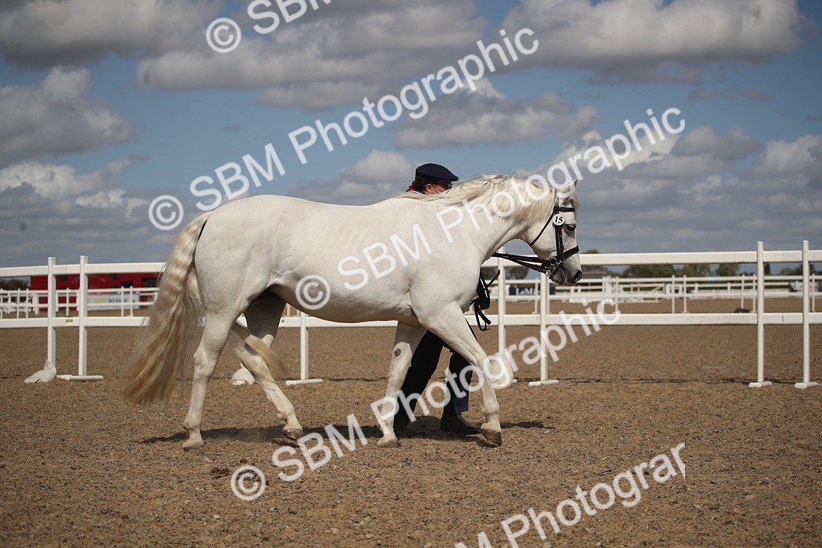 SBM_23191 - Class 606 - 2026 - Area - IH Pre Vet