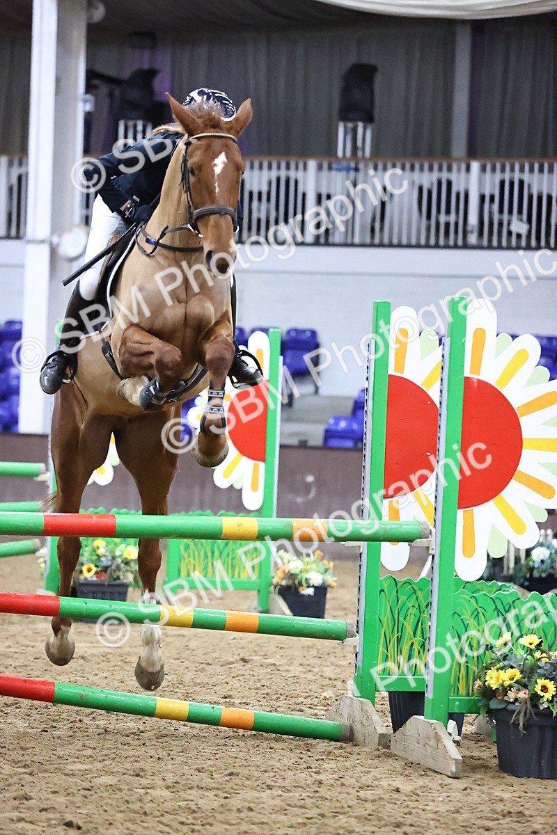 SBM_2084 - Class 8 - Nupafeed Supplements Senior Discovery/ 1m Open