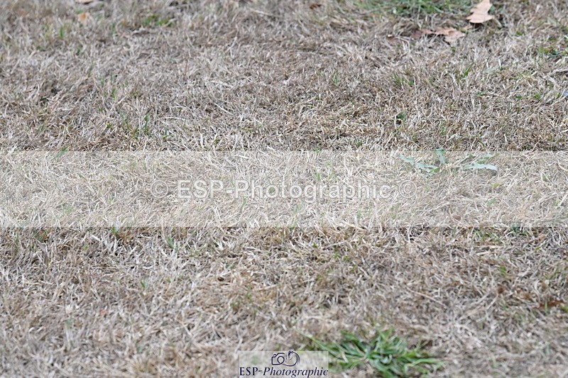 250820A-180856-12553 - Wednesday Presentations