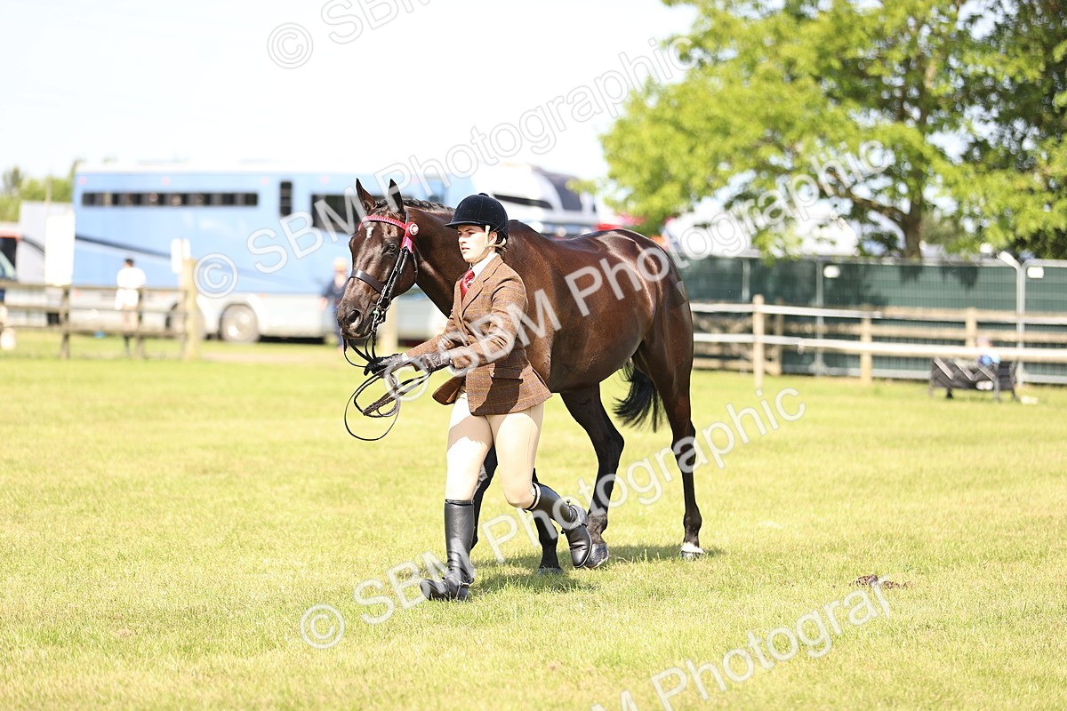 SBM_13023 - Class 75-76 LIHS BSHA Rising Star Hack Riding Horse