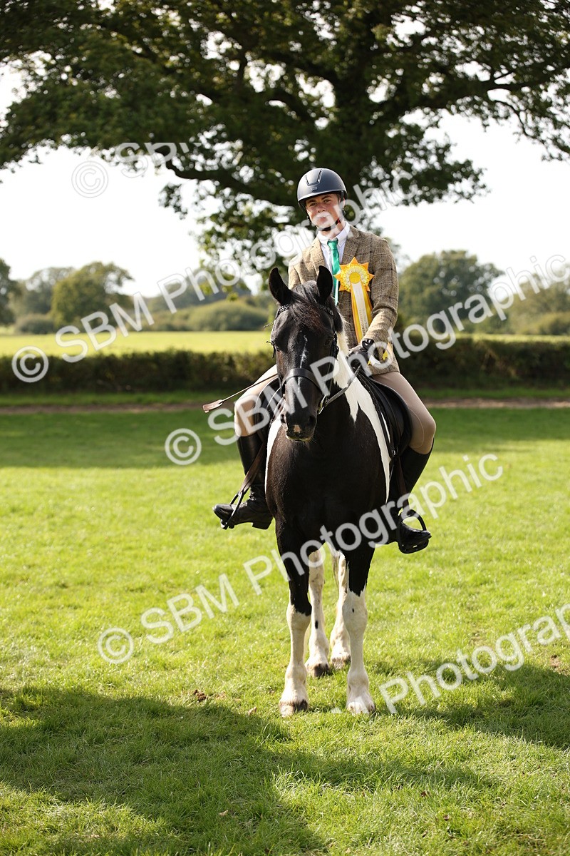 SBM_70155 - S65 - Piebald & Skewbald Horse Ridden
