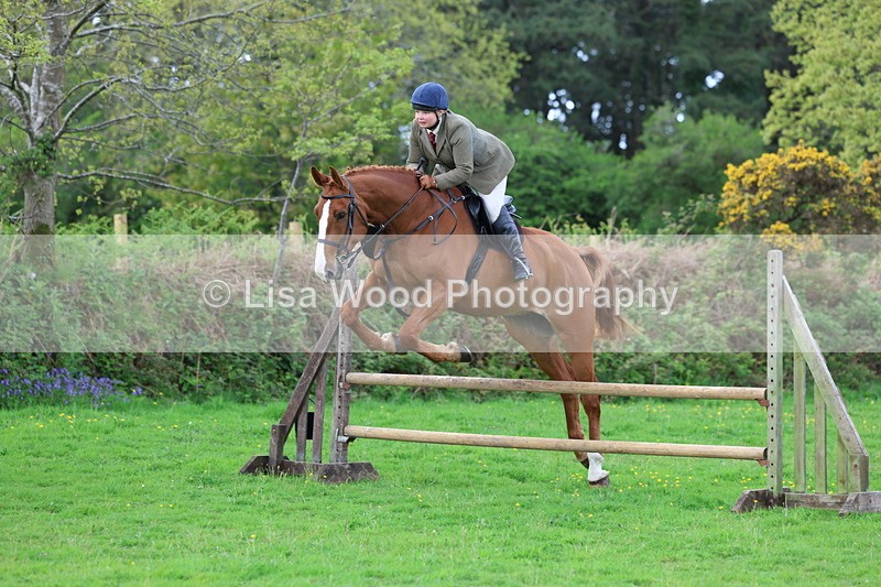 3E7A2536 - Classes 30 and 31: 80cm Working Hunter