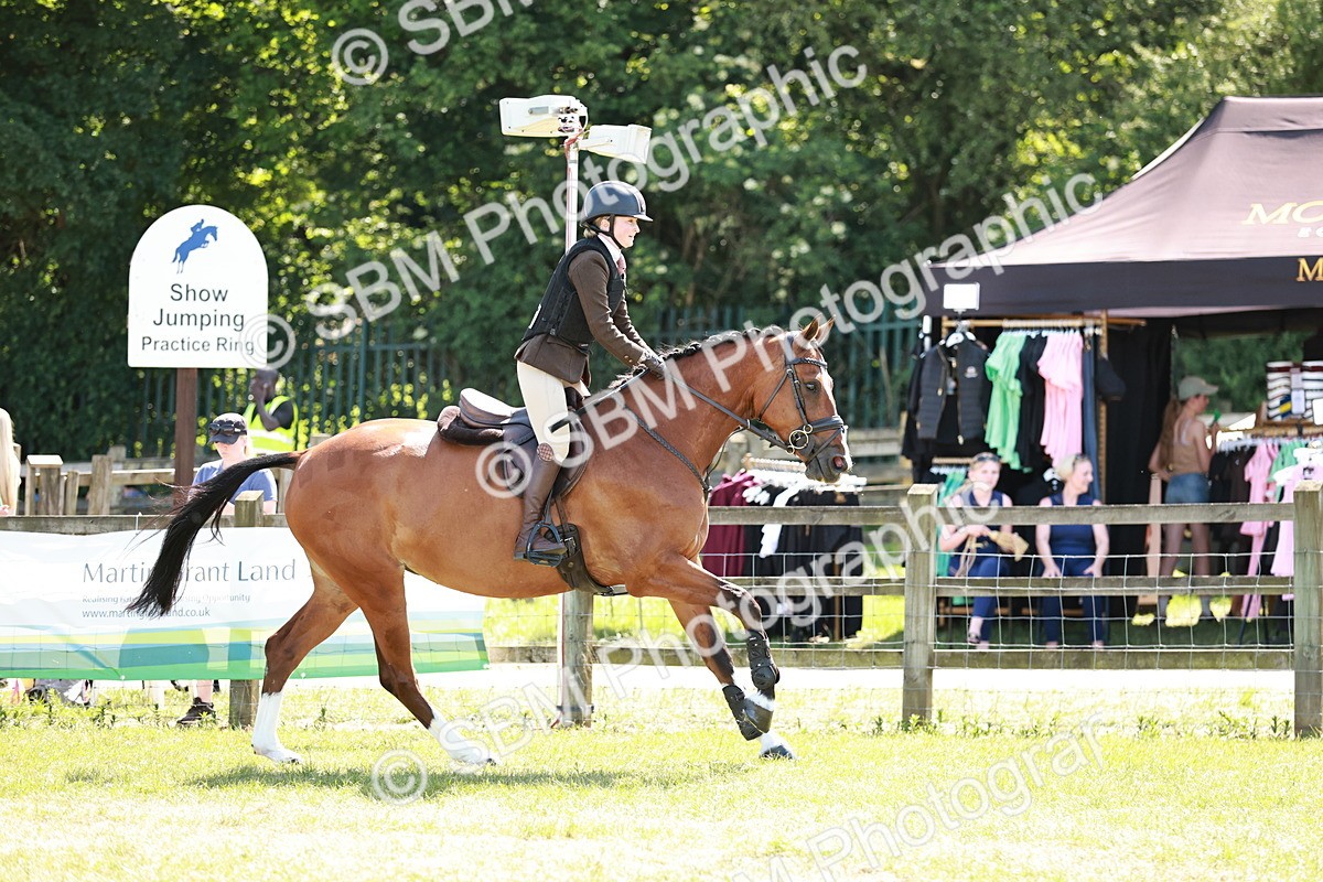 SBM_18333 - Class 112-113 - BSPS LIHS Working Sports Pony