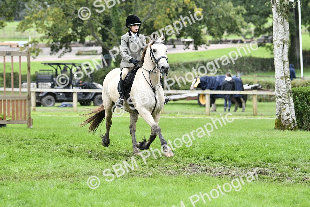 SBM_42294 - S32 - Mountain & Moorland Working Hunter Pony