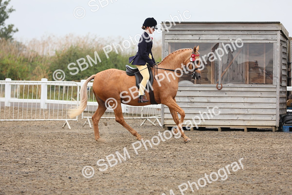 SBM_22306 - Class 807 - Young Rider 11 to 16 Yrs