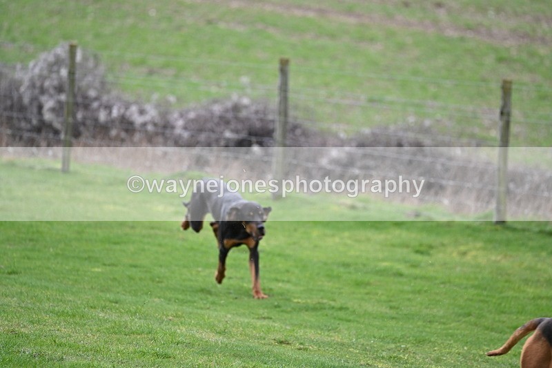 WJ6_8975 - Line Three