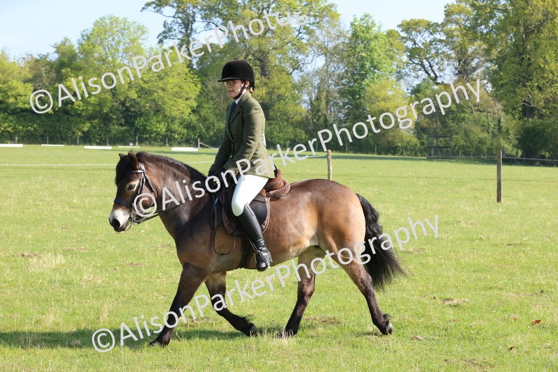20250427-0527 - Class 17 - Novice Showing