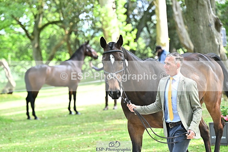 250521A-151431-00366 - B-305-Andrew.James-LANDORADO