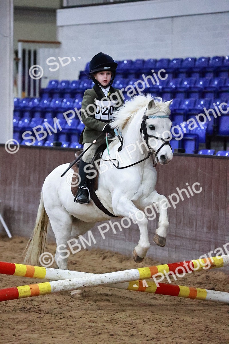 SBM_000375 - Class 2 - 50cm