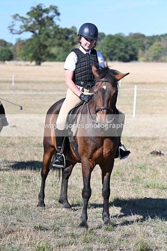 WJ7_2196 - Class 44 Child's Best Friend