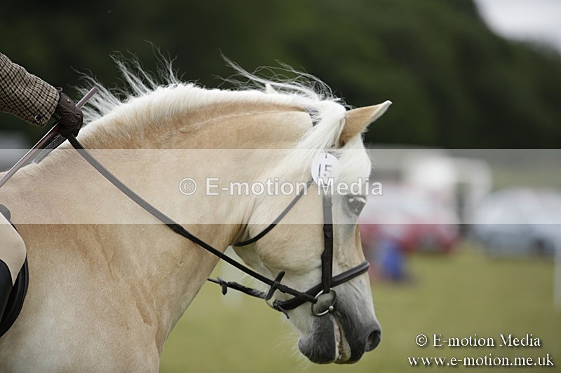 BVR160717-1534 - Ring 1 BVRC Show 16/07/17