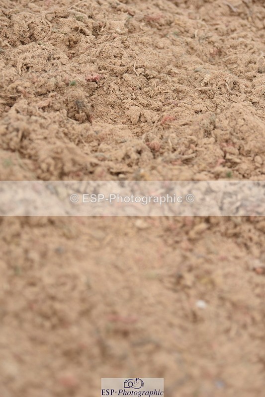 230628A-144724-00751 - Cls 5 Foxhunter & 1.20m Open