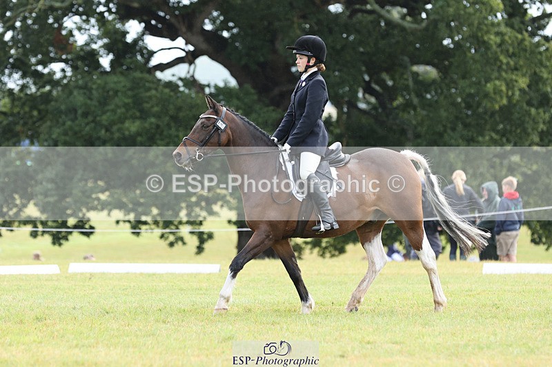 240824X-110348-26834 - D70 Section C and D 9.30 to 11.00