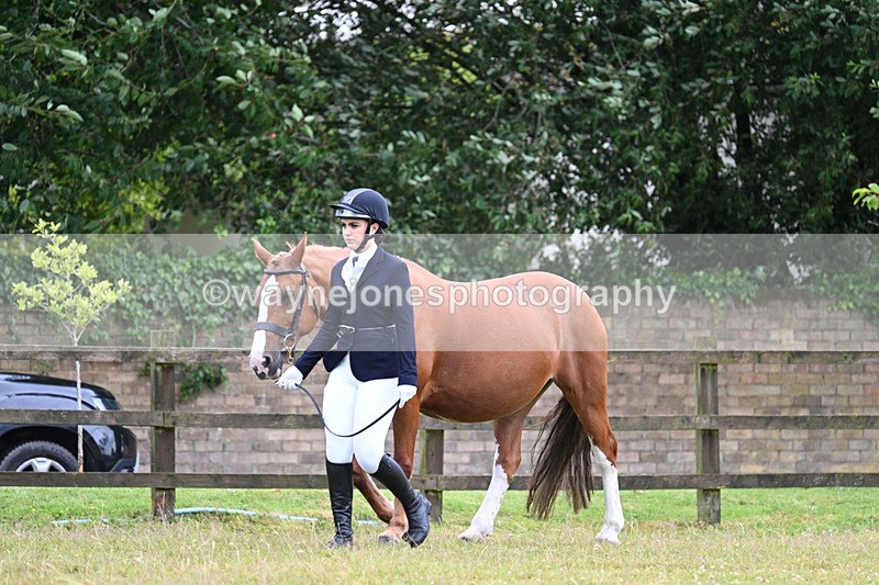 WJ7_6088 - Class 4a Prettiest Mare over 14hh