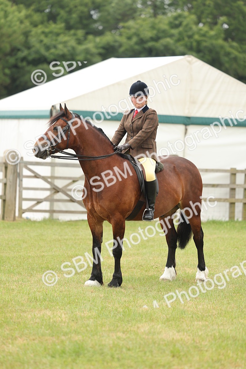 SBM_07272 - Class 76-77 - Ridden M&M Welsh Ponies