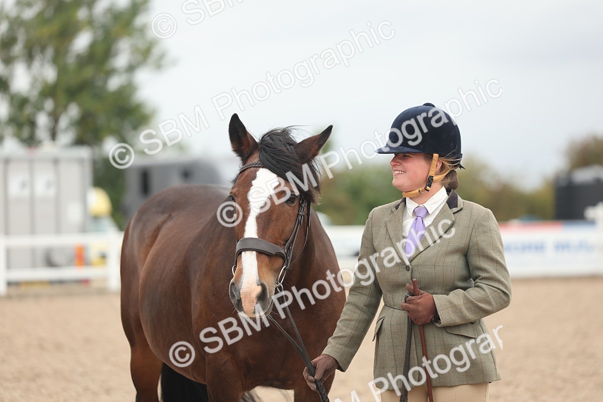 SBM_19866 - Class 318 - IH Part Bred Horse-Pony