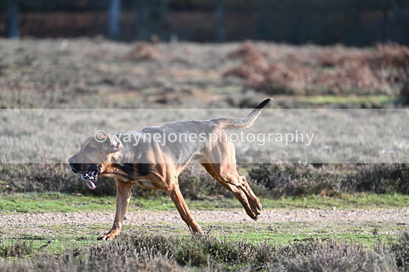 WJ7_8010 - Line 3 (no line 4 or 5)