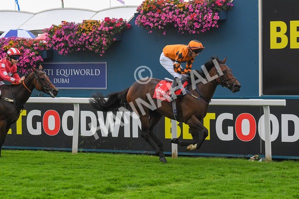 100923-Pony Race 2-0292 - Pony Race 2 12.45 The Dragon (TV and Film) Studios Pony Race 148cm & Under