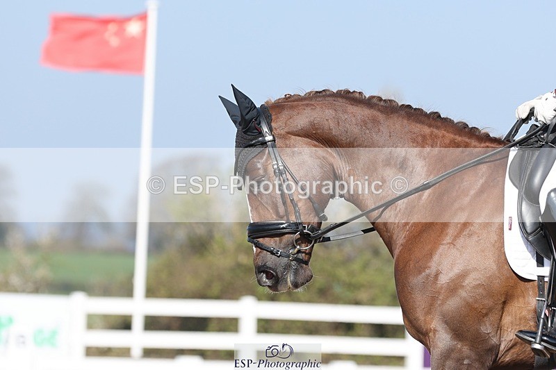 250405-102335-09483 - 066-Charlotte.Dicker-Bovary.JBM