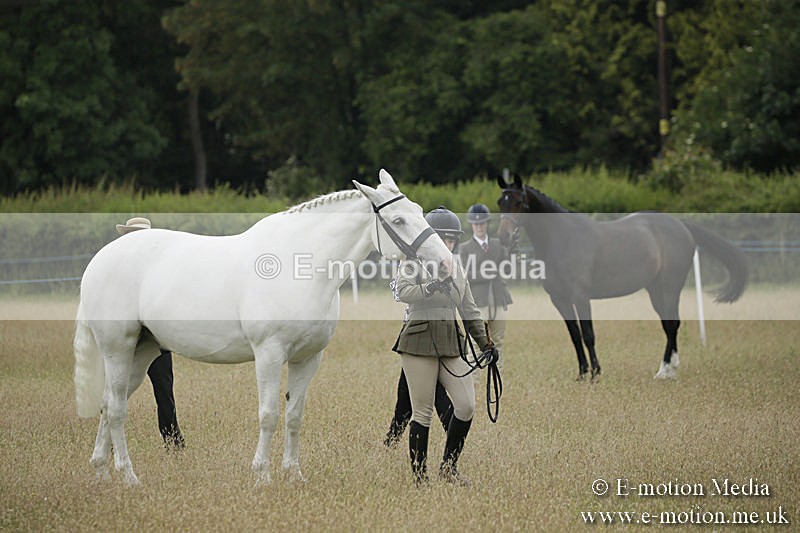 B230619-0287 - Bourne Valley Riding Club Summer Show 23/06/19