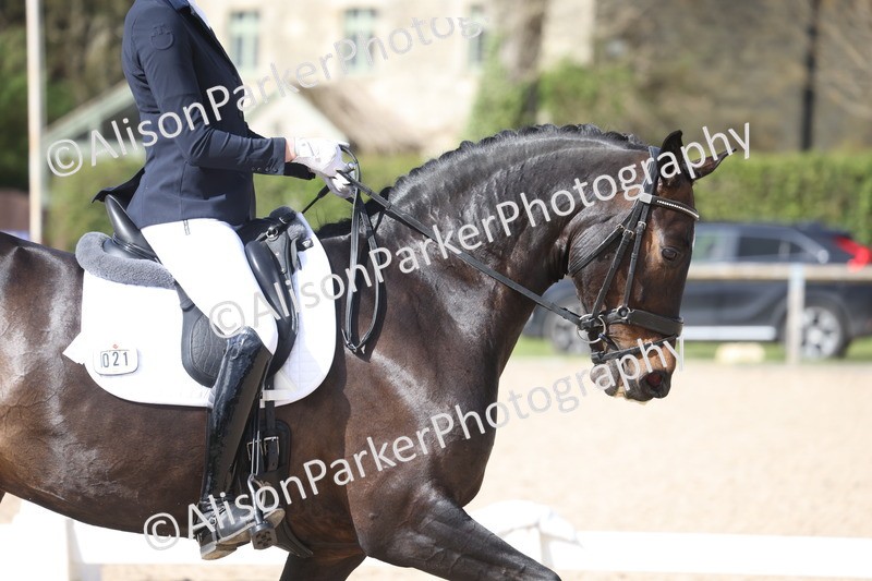 20260405-0870 - Class 9 - Advanced Medium 3