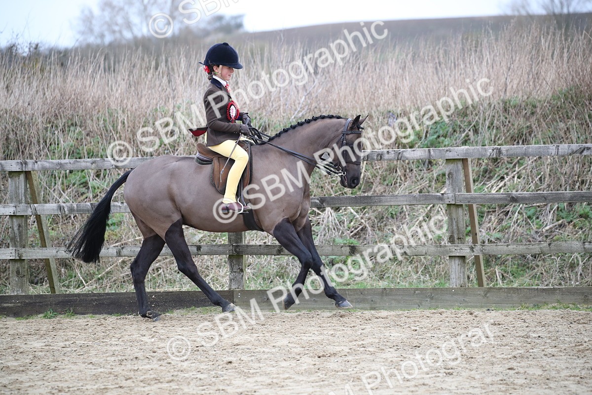SBM_004811 - Class 5-9 - NPS In Hand-Show Hunter-Intermediate Ridden Inc Ridden Championship