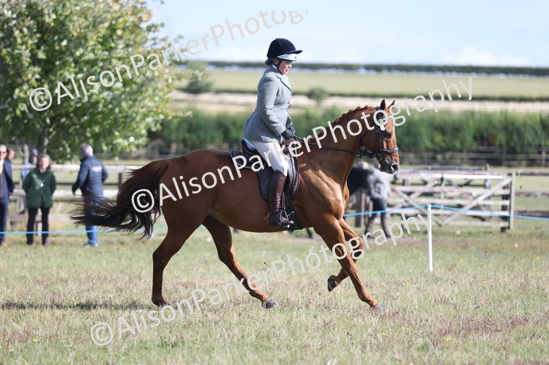 20250831-0908 - Class 14 - Ex Racehorse