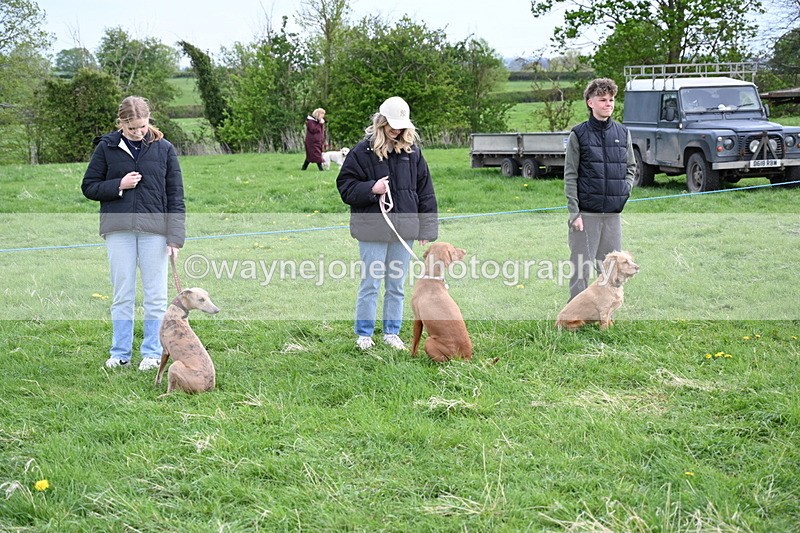 WJ6_8018 - Class 2 Best Pedigree