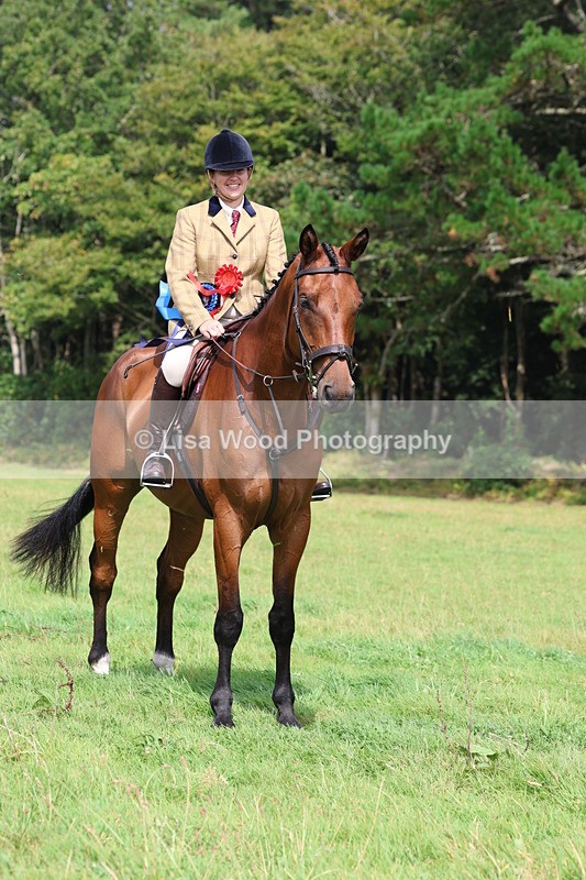 3E7A6185 - Working Hunter Championship