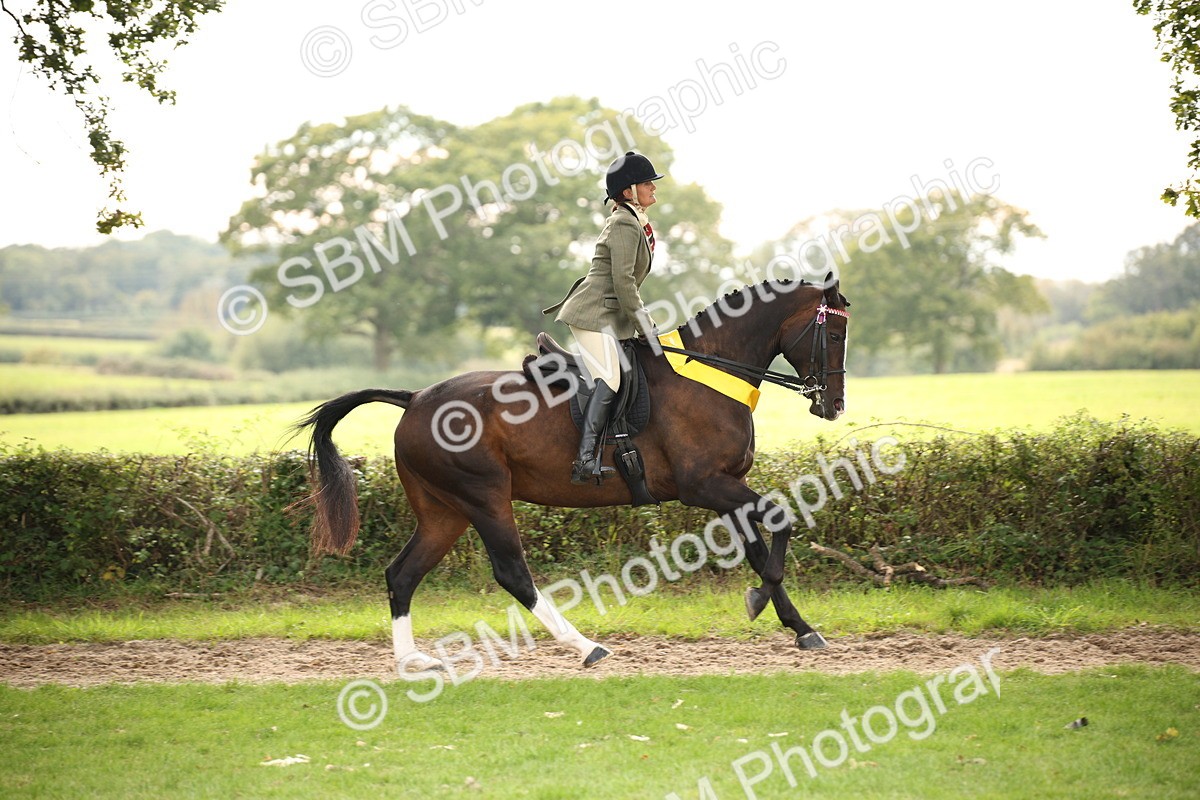 SBM_73640 - Ridden Horse Supreme Championship