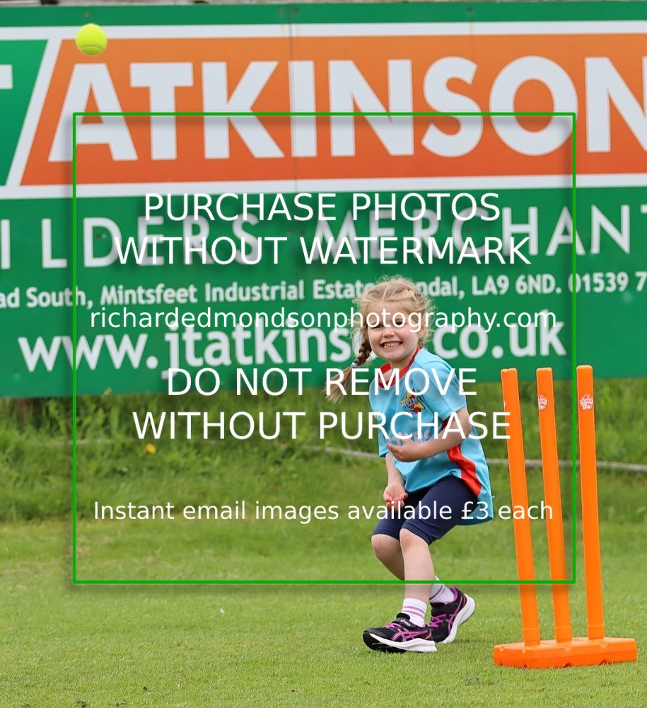 IMG_1217 - All Stars Cricket-Netherfield