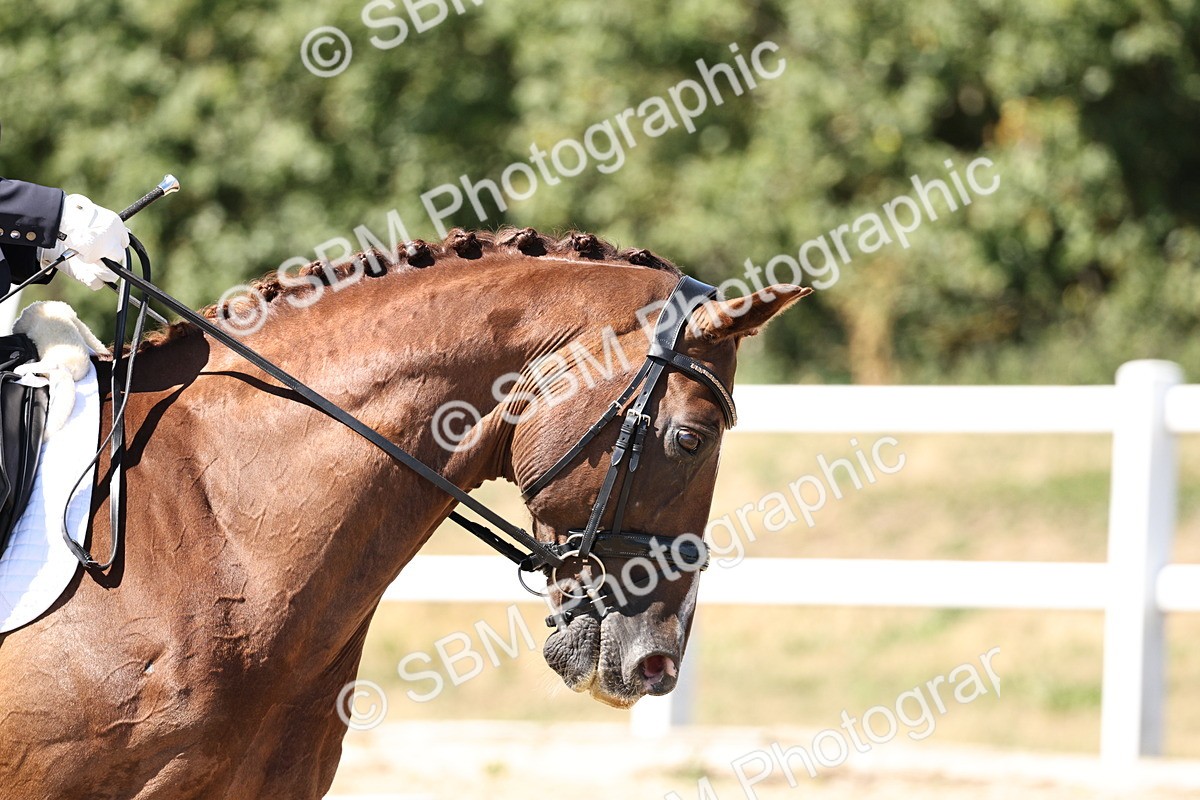 SBM_003208 - Prelim 4 - 13.41-16.04