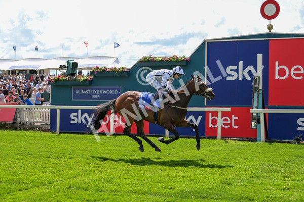 140625-Race 3-Al Qareem-2505 - Race 3 3.00pm Sky Bet Race To The Ebor Grand Cup Stakes