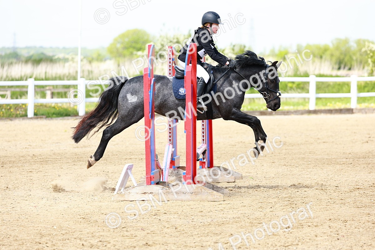 SBM_007826 - Class 3 - 60cm