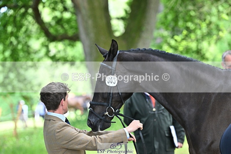 250521A-153100-00561 - B-365-Tom.McEwen-MAESTRO