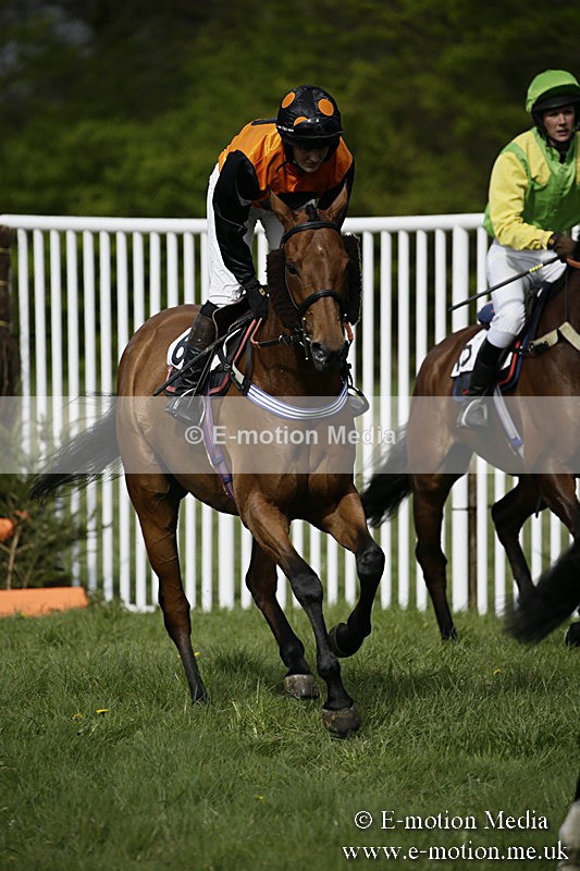 PtP 170417 272 - Old Berks Point-to-Point Lockinge 17/04/17