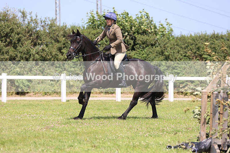 JPP_2555 - Class 21: Working Hunter 60cm