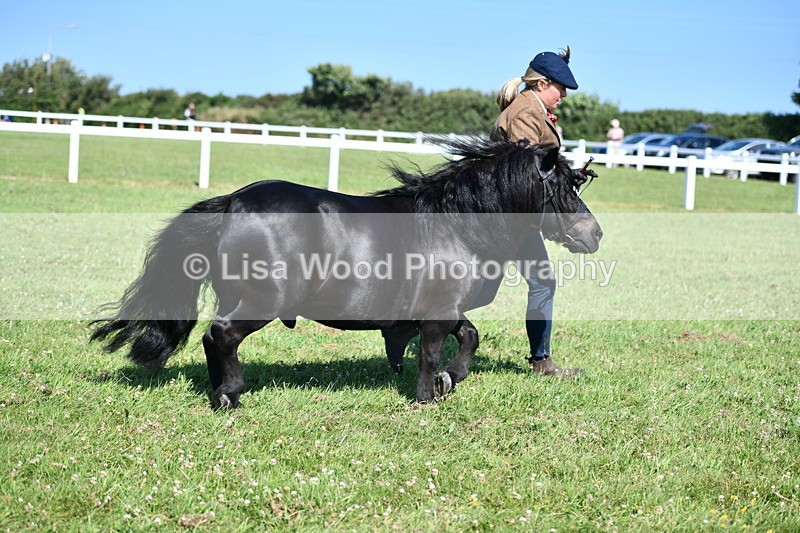 DSC_6358 - Class 52: NPS Shetland 4 years and over