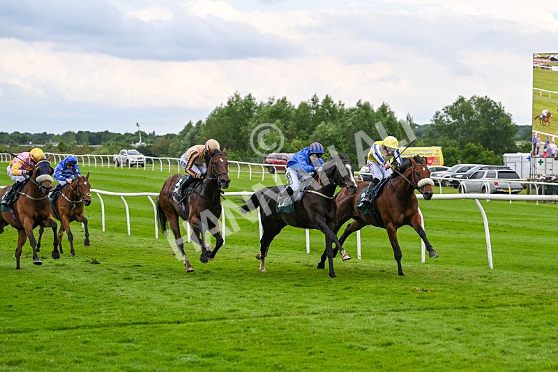 180624-Race 4-Animate-0441 - Race 4